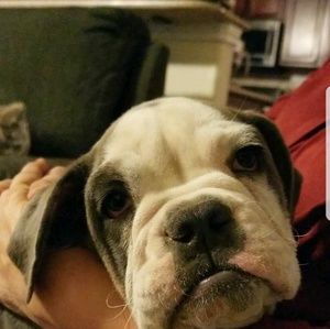 Meet your Posher, Alexis